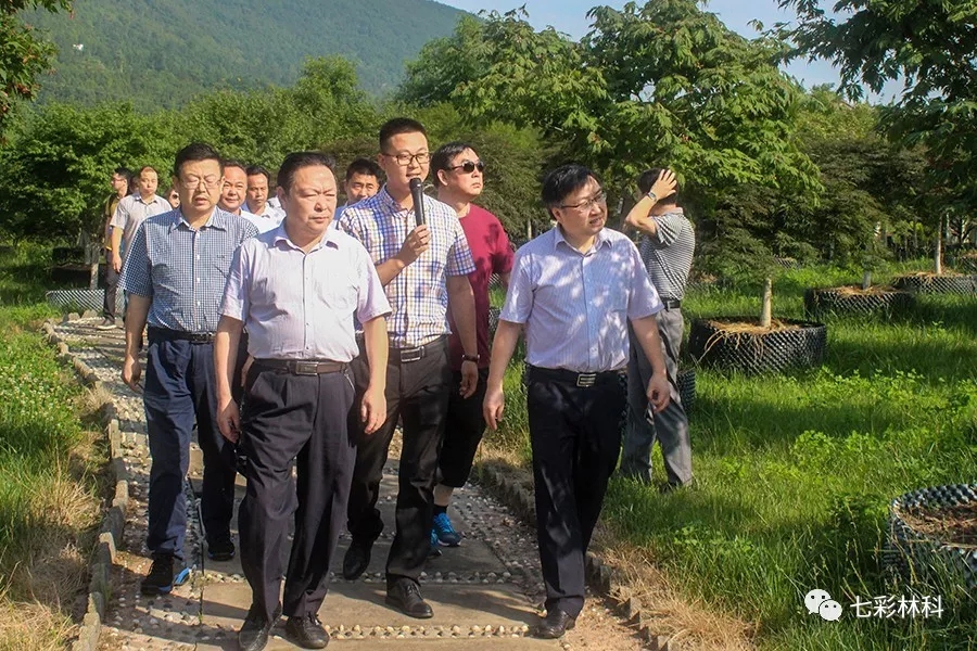 聚焦七彩|贵阳市政协副主席喻理飞率考察学习组调研七彩林业