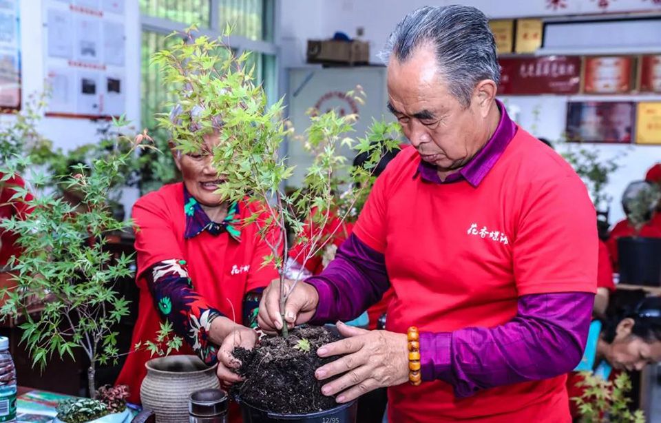 聚焦七彩│“花领学院”起航成都高新区 盆栽产业助推乡村振兴