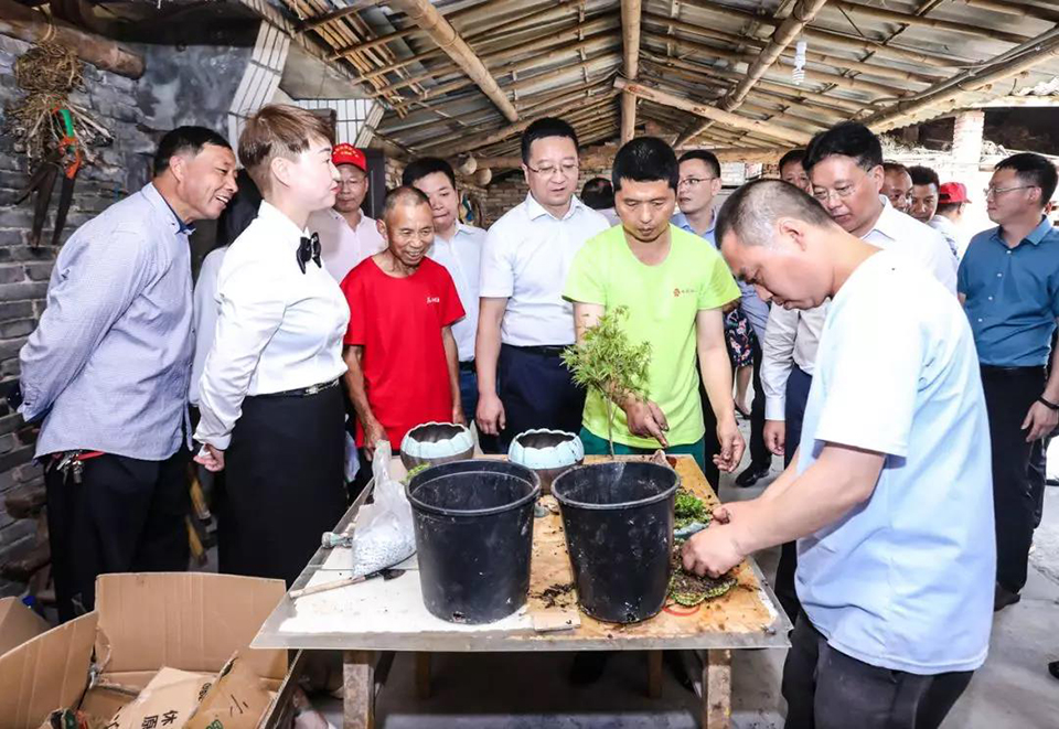 聚焦七彩│“花领学院”起航成都高新区 盆栽产业助推乡村振兴