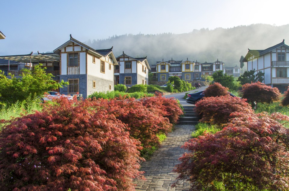 巴中两村实践七彩模式，齐荣膺2019四川乡村振兴战略示范村！