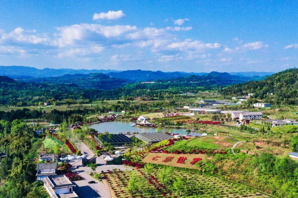 巴中两村实践七彩模式，齐荣膺2019四川乡村振兴战略示范村！