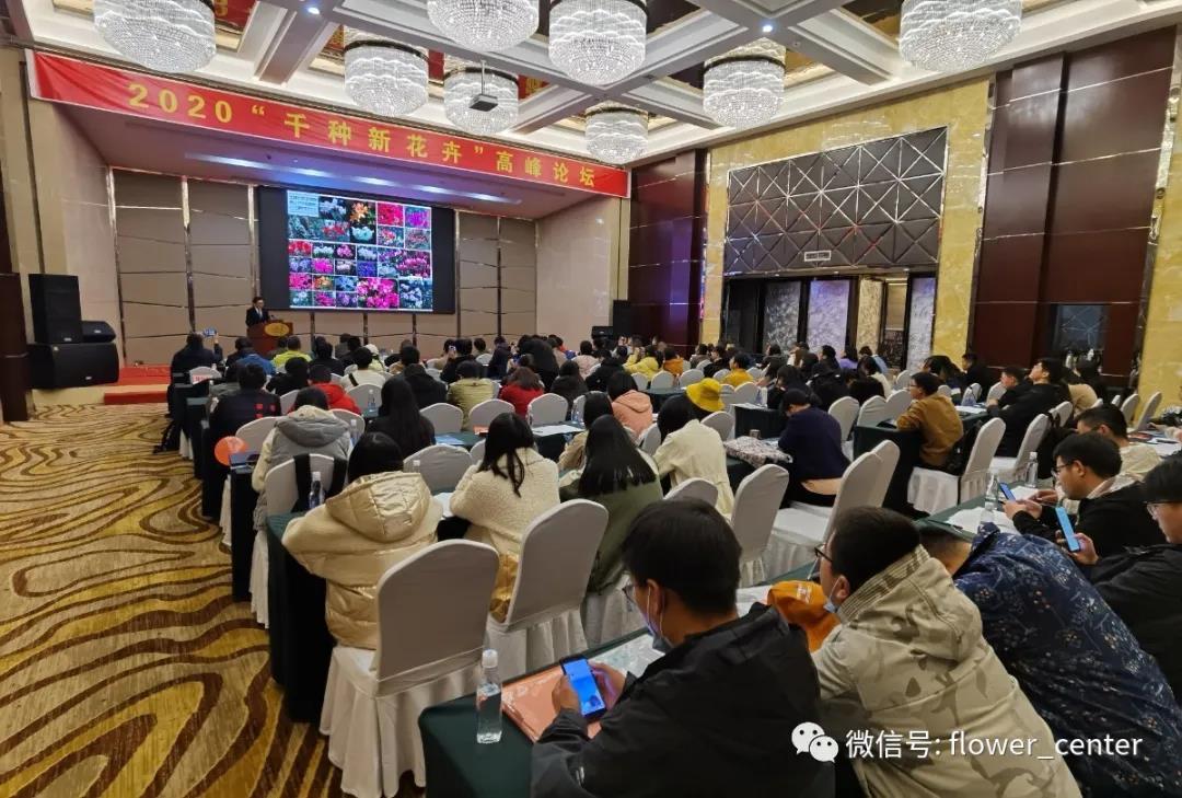 谢松林博士出席2020中国“千种新花卉”高峰论坛