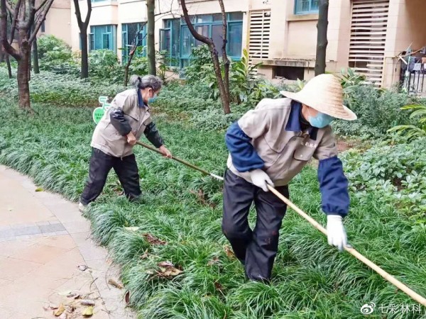 重庆恒大地产养护